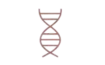 DNA helix icon representing support for collagen production as part of the skin’s natural healing process.