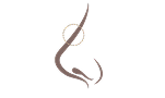 Naturally lower nasal bridge illustration showing a softer bridge along the midline