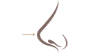 Softly projected nasal tip illustration showing subtle forward tip projection