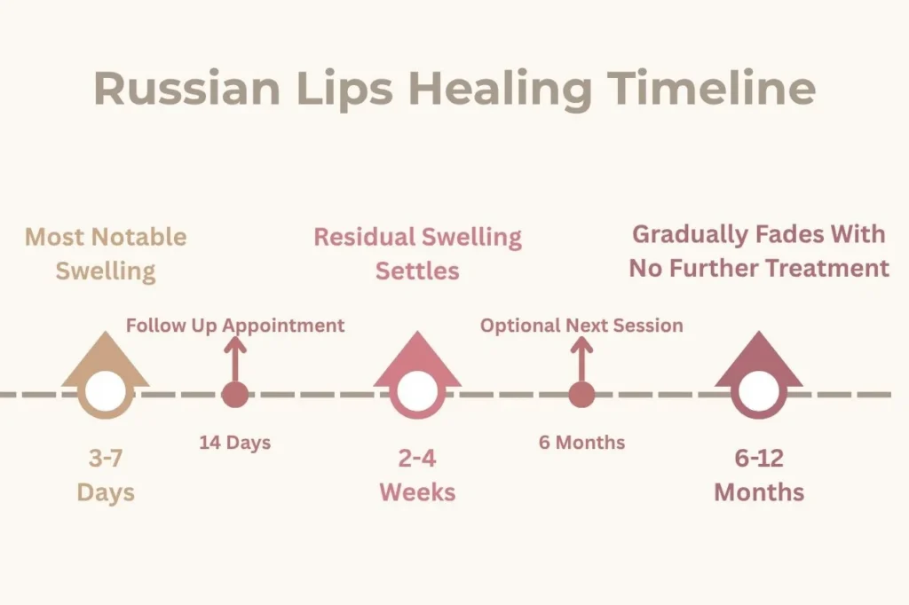 Russian Lip Technique healing timeline showing recovery stages from treatment day through to 6 to 12 months, as initial swelling settles over the first weeks, the lip shape settles, and the supporting effect gradually eases without a further session.