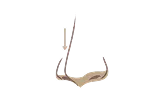 Downward pointing nasal tip illustration showing tip tilting downward during facial movement