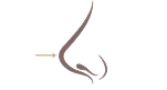 Softly projected nasal tip illustration showing subtle forward tip projection