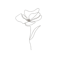 Cosmetic